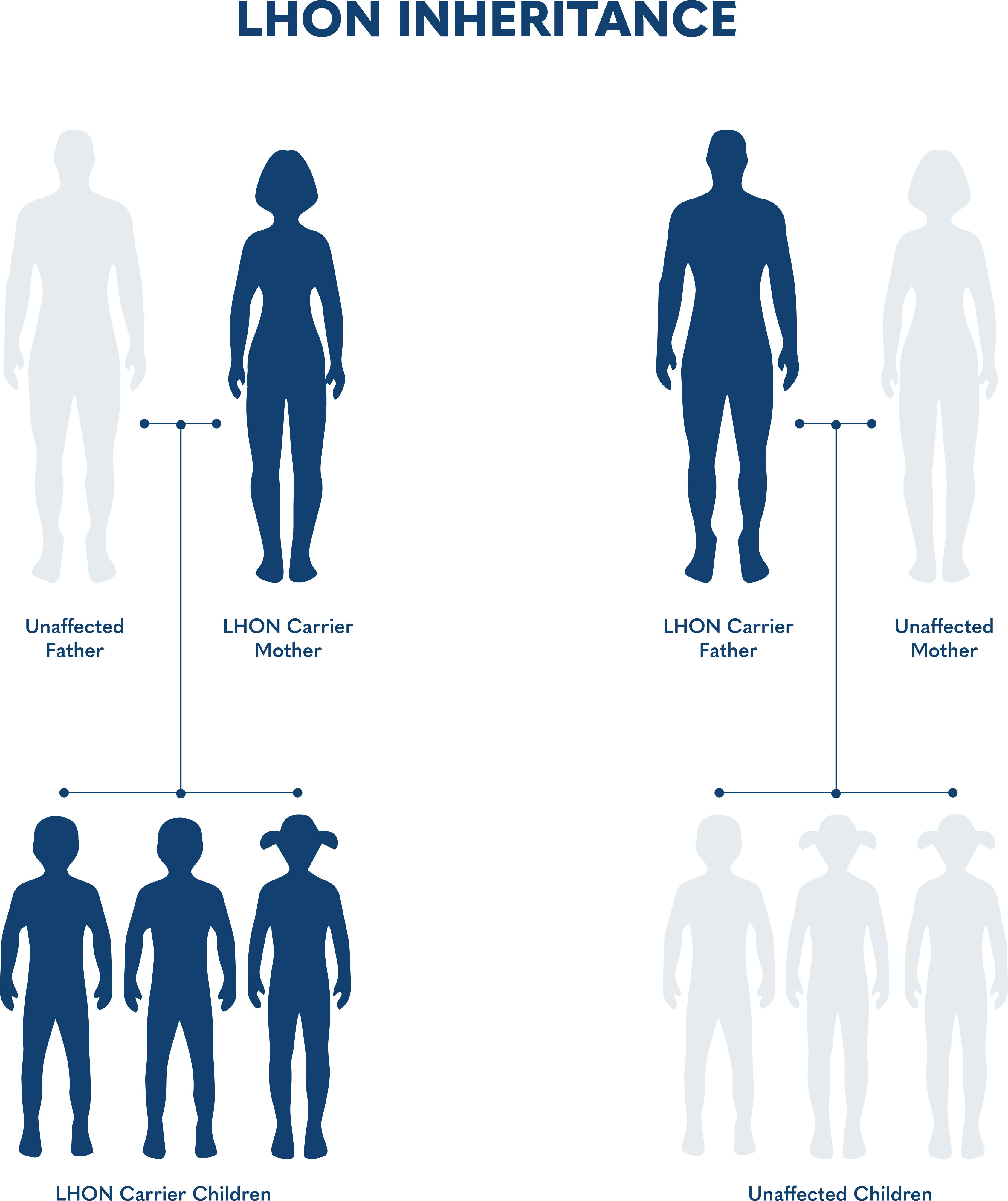 Diagram of LHON genetics